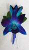 Grande Flowers' Tinted Teal Orchid Boutonniere